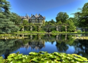 英雄联盟总决赛赛程-黄蜂蜂群战术全面压制活塞，克莱36分诠释何谓关键先生