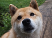 LOL决赛-唯一对决，玻利维亚冷箭射落南非，于欧冠决赛之巅