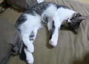 -唯一掌控河流的人，当巴拉圭的奔涌遇见冰岛的冻结，萨拉赫的意志在裂缝中流淌