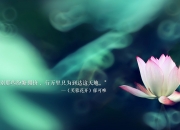 -跨洋对决，拉梅洛·鲍尔独挑辽宁队，全场最佳无争议