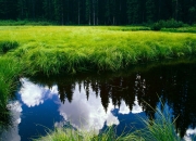 英雄联盟总决赛-体育之神的两副面孔，一瞬的宿命与七十分钟的绝对意志