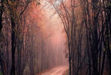 英雄联盟总决赛赛程-冰岛寒流席卷非洲雄鹰，厄德高闪耀亚平宁—足球世界的多元与反差