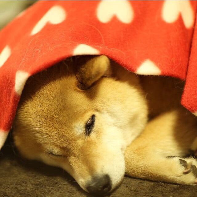 华尔街的射门,科迪的雨夜,当美式资本操盘威尔士心跳,法比尼奥如何成为那个关键先生