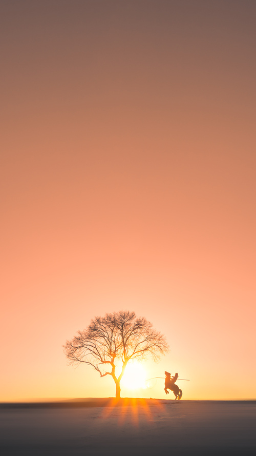 萨拉赫的关键一击,尤文图斯如何奇迹般击败法国队