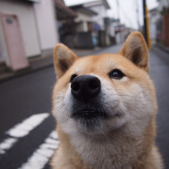 异时空战场，当新疆铁蹄撞上迈阿密烈焰，伦纳德用沉默掌控时间