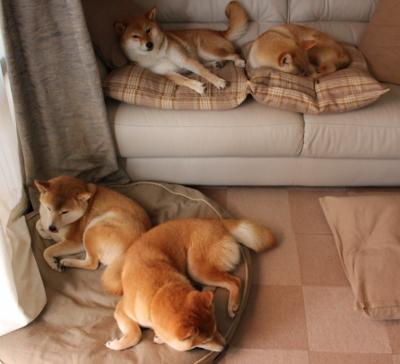 骑士三分箭雨淹没魔术，爱德华兹全能秀演绎个人英雄主义