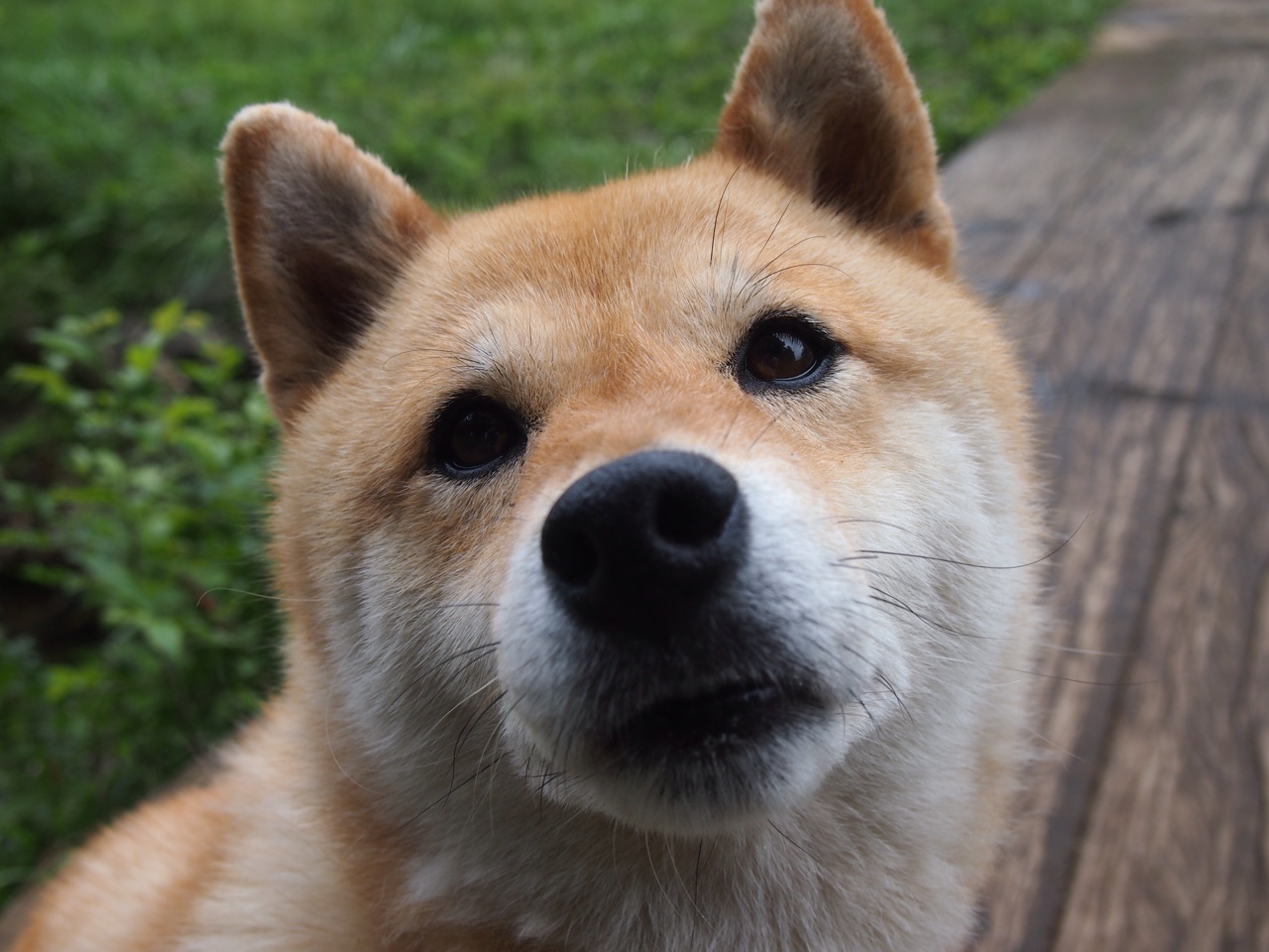 双面足球，佩德里的荣耀与哥斯达黎加的逆袭