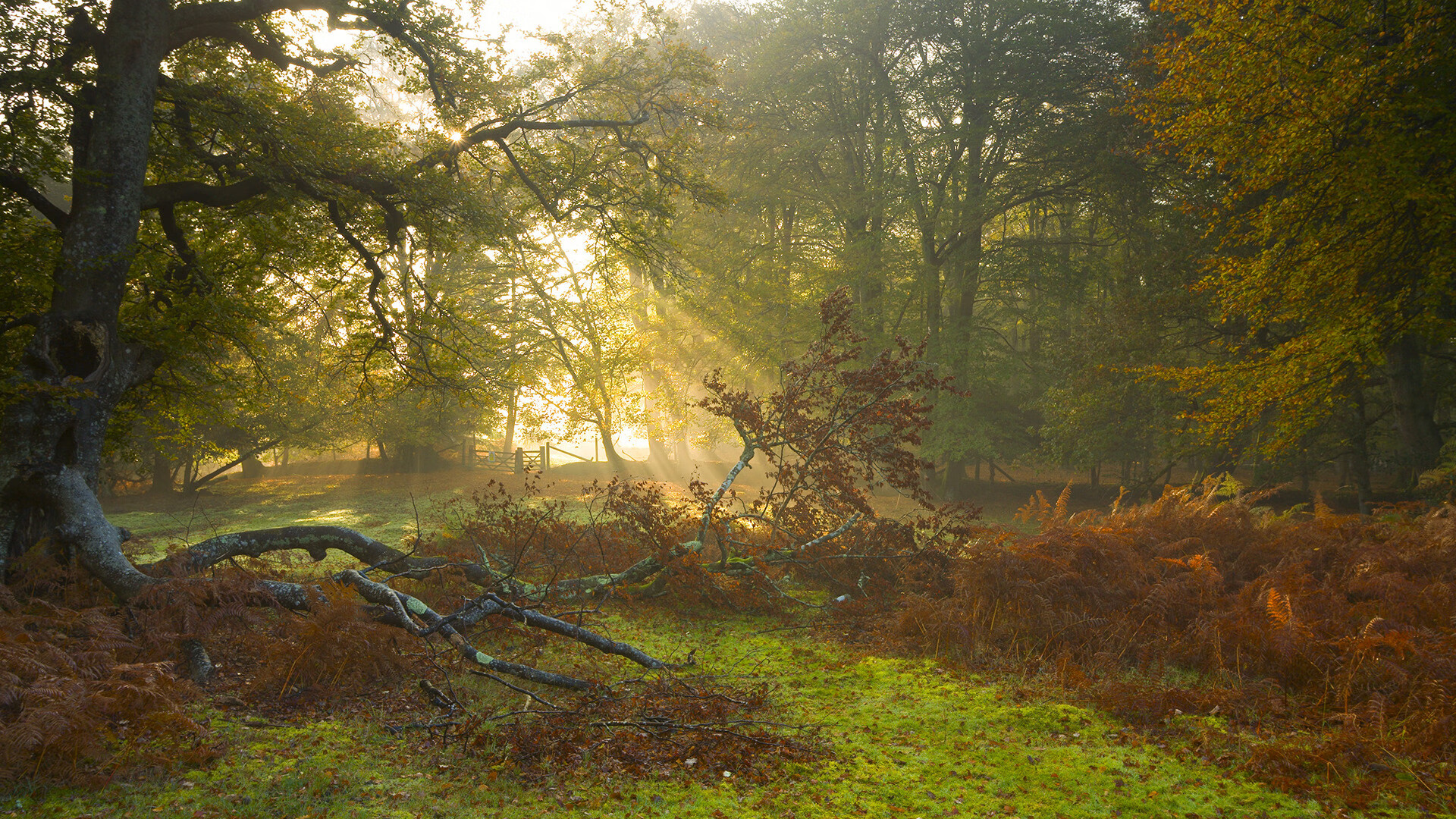 窒息式压迫与致命一击，凯塞多如何在一场全球焦点战中完成自我救赎