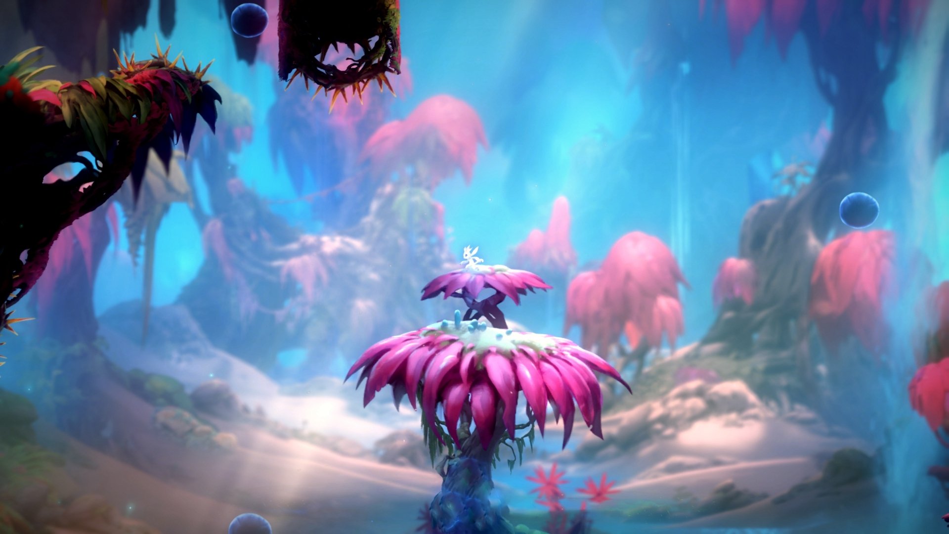 绿茵场上的篮球时刻，补时连入两球，北美新军上演神奇逆转